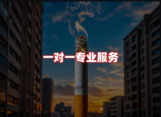 专业团队